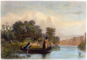Spearing Fish de uma canoa, 1853